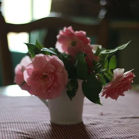 Appartement Pfarrhof *