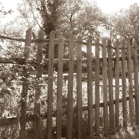 Appartement Pfarrhof *