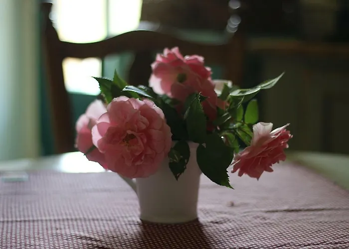 Appartement Pfarrhof *